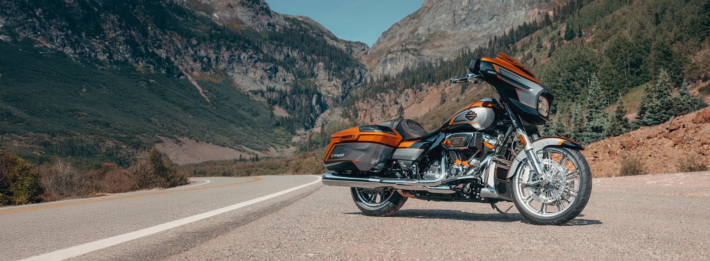 CVO™  STREET® GLIDE